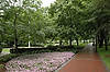 Loyalist Burial Grounds