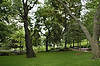 Loyalist Burial Grounds
