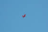 Aerobatics