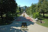 Hiram College