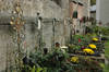 St. Peter's Cemetery