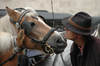 Horse & Driver