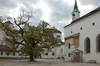 Linden Tree & St. George's Chapel