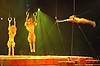 Festival of the Lion King