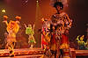Festival of the Lion King