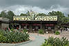 Animal Kingdom Entrance