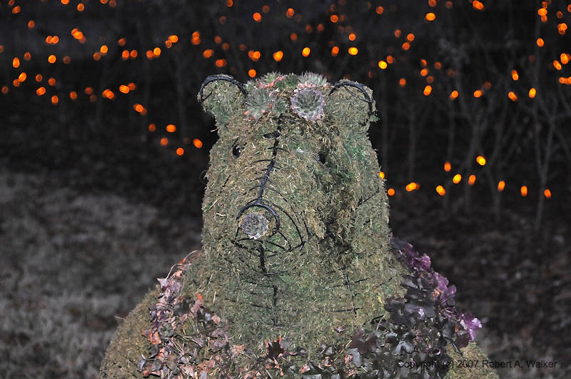 DSC_0421.jpg