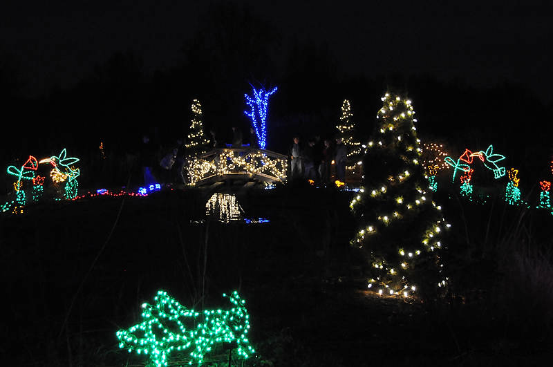 DSC_0517.jpg