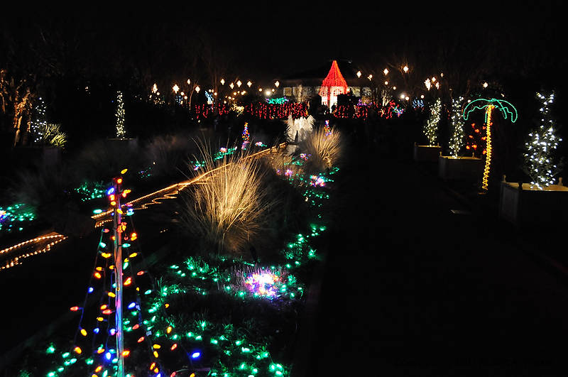 DSC_0558.jpg