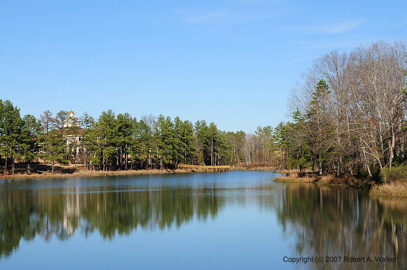 DSC_0771.jpg