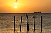 Sunset at Tamarijn