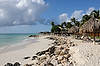 Tamarijn's Beach