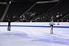 Tori Vollmer / David Sparks