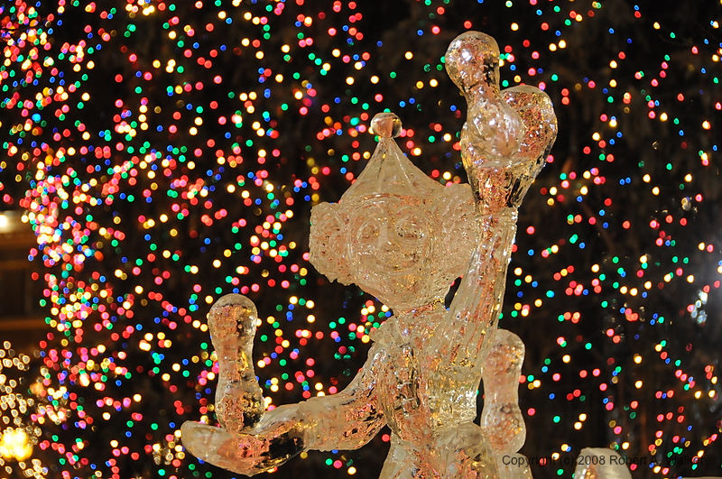 DSC_8850.JPG