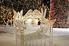 Winter Carnival