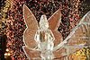 Winter Carnival