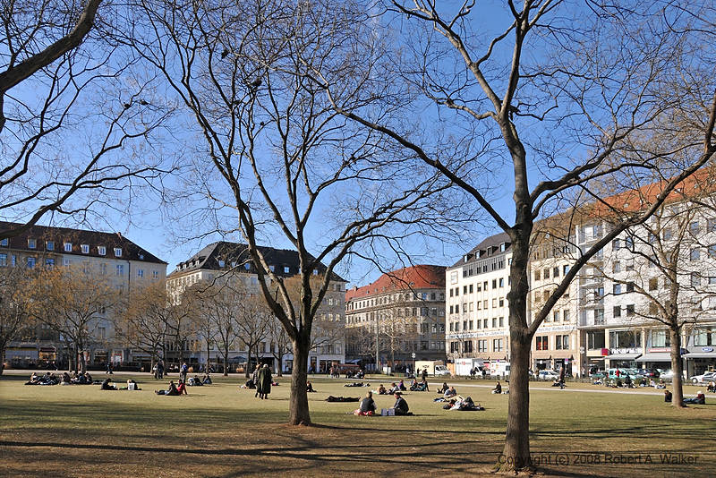 DSC_0234.jpg