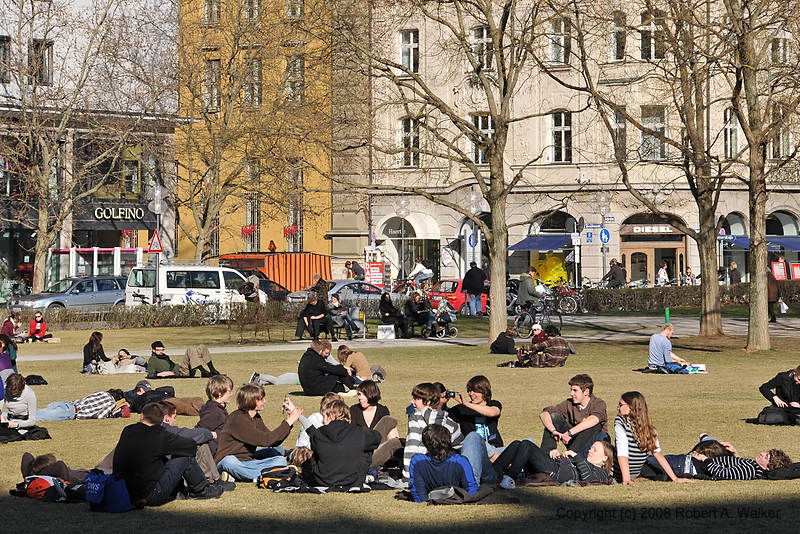 DSC_0239.jpg