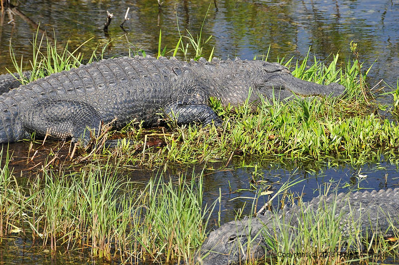 DSC_0587.jpg