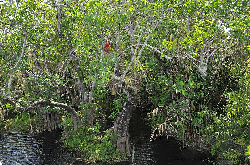 DSC_0654.JPG