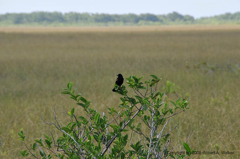 DSC_0692.jpg