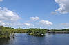 Anhinga Trail