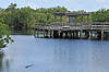 Anhinga Trail