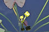 Spatterdock (Cow Lily) (Along Anhinga Trail)