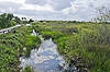 Anhinga Trail