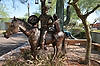Old Town Scottsdale