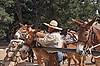 Mules at Bright Angel Trailhead