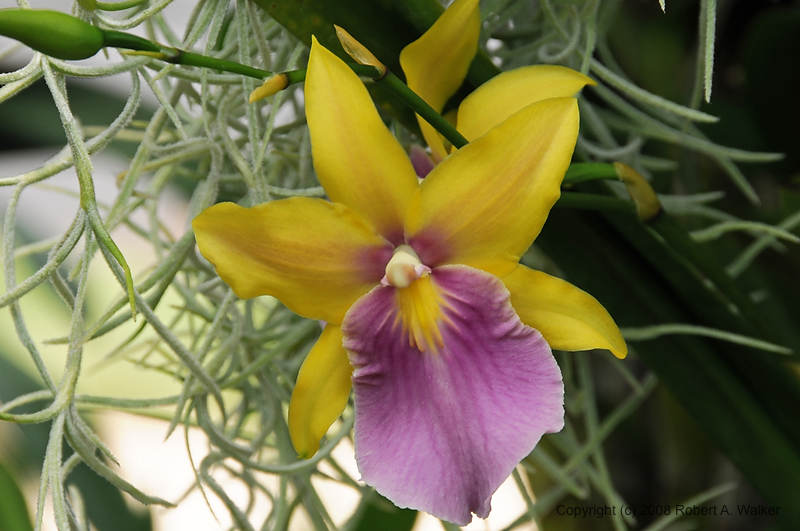 DSC_8076.jpg