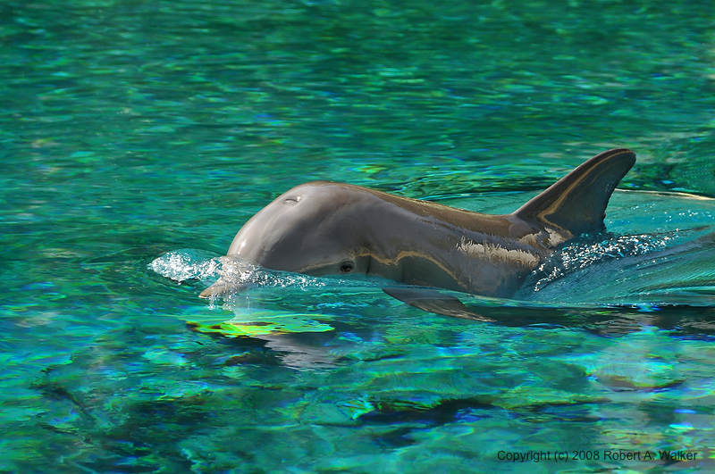 DSC_0131.jpg