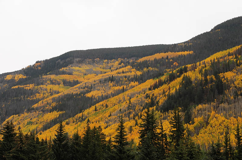 DSC_0438.jpg