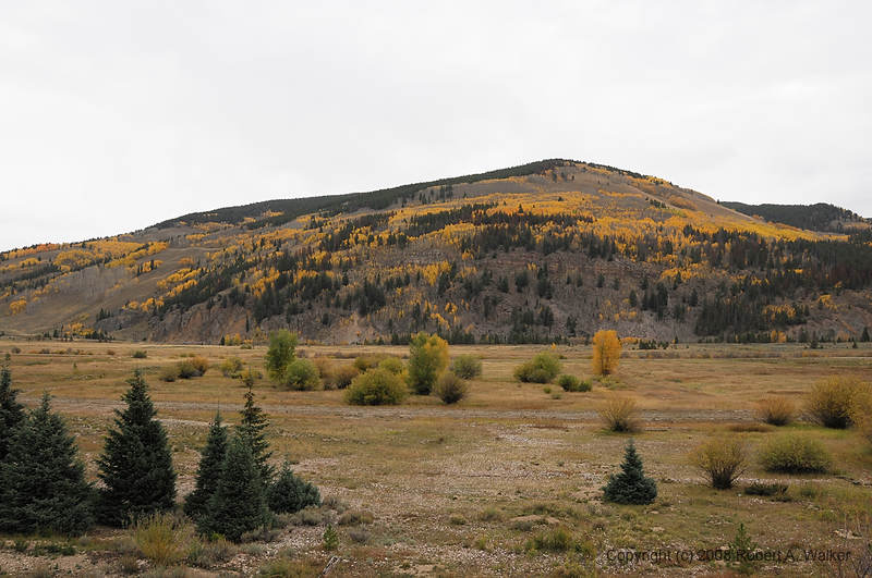 DSC_0515.jpg