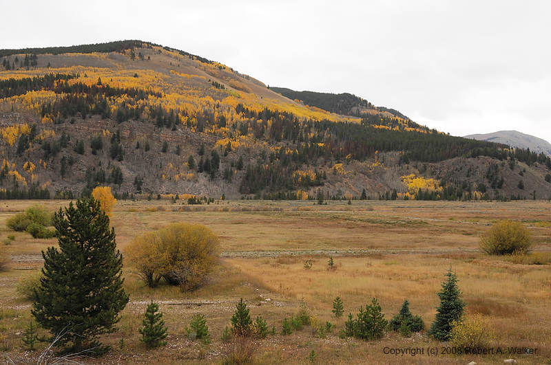 DSC_0517.jpg