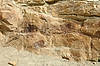 Dinosaur Fossil (at Dinosaur Ridge)