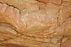Dinosaur Footprint (from Underneath, at Dinosaur Ridge)