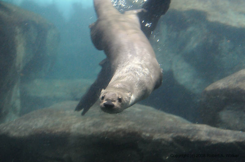 DSC_0704.jpg