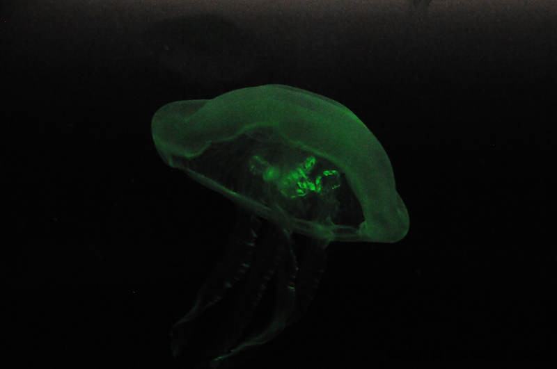 DSC_1017.jpg