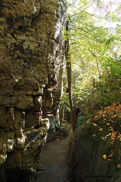 DSC_1076.jpg