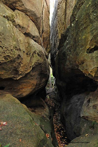 DSC_1078.jpg