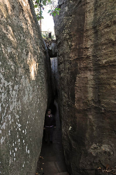 DSC_1079.jpg
