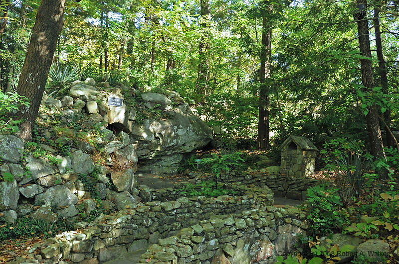 DSC_1088.jpg