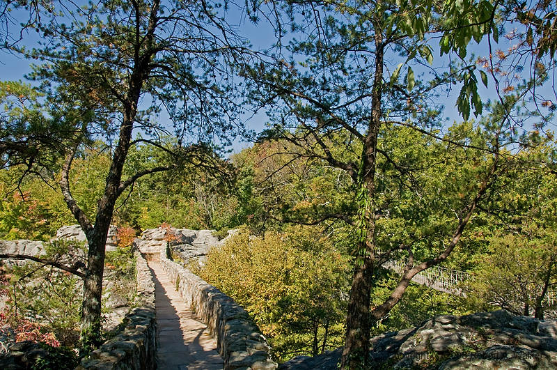 DSC_1119.jpg