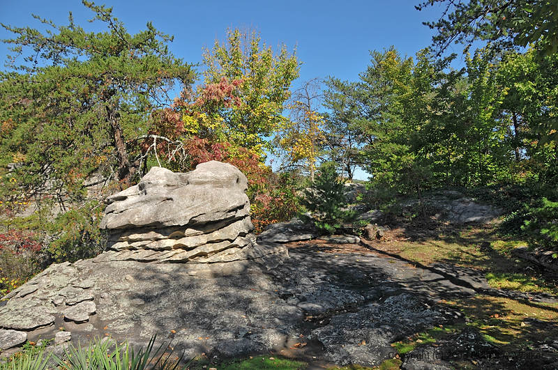 DSC_1143.jpg