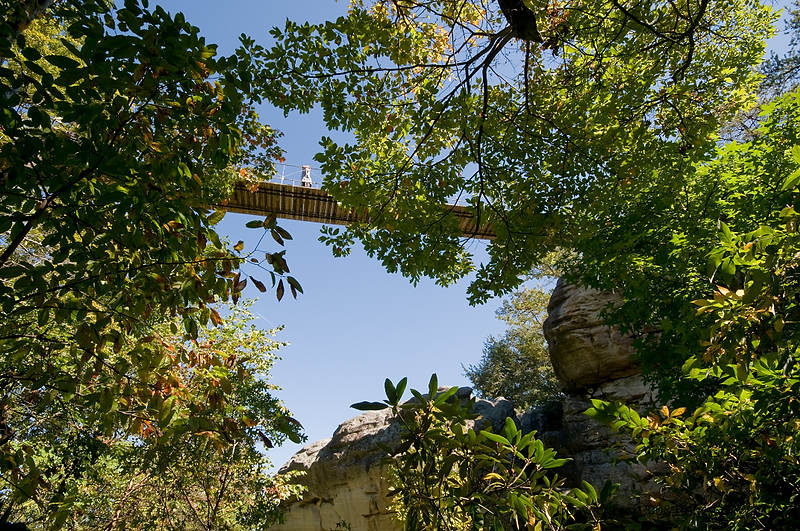 DSC_1208.jpg