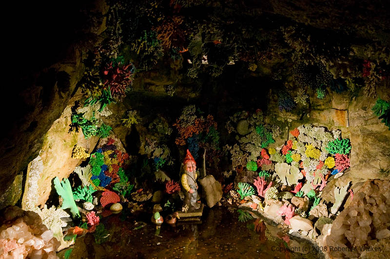 DSC_1225.jpg