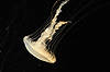 Sea Nettle (Tennessee Aquarium)