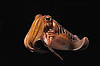 Common Cuttlefish (Tennessee Aquarium)